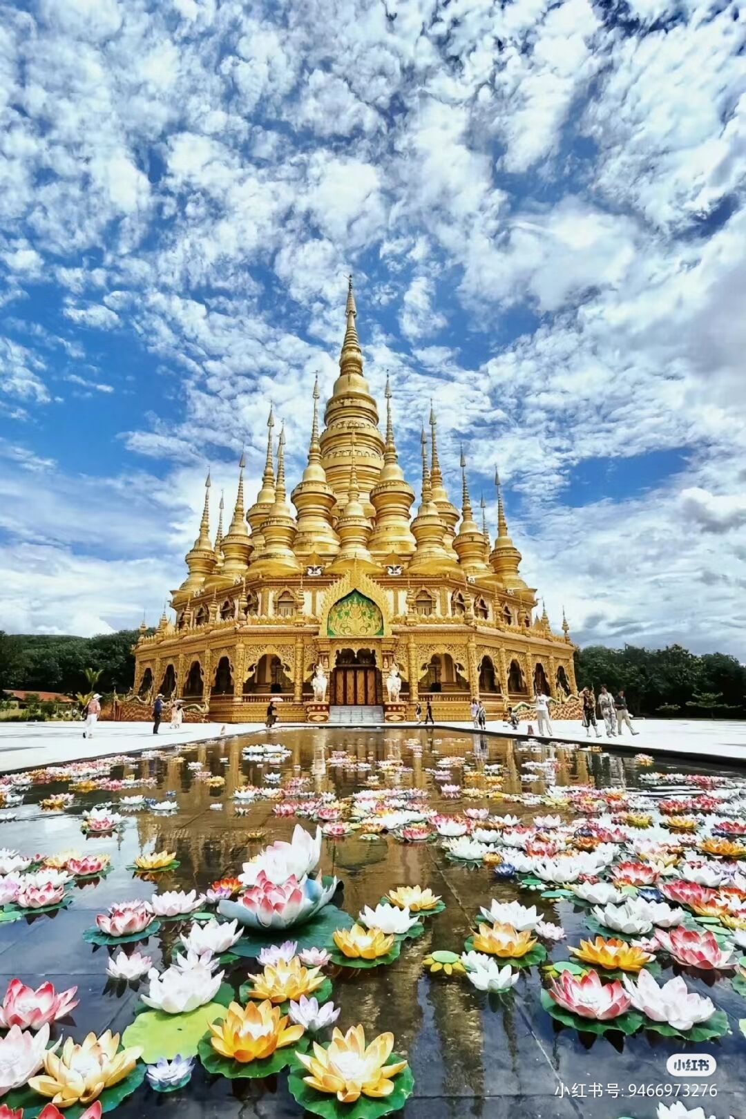 抖音创业教程 | 小红书引流方法 | 轻合创 - 互联网创业资源聚合平台