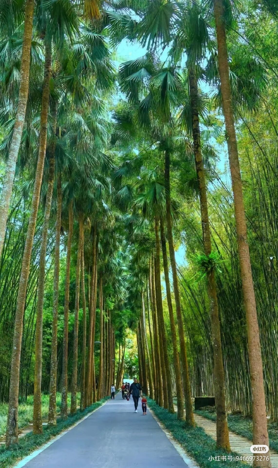 抖音创业教程 | 小红书引流方法 | 轻合创 - 互联网创业资源聚合平台