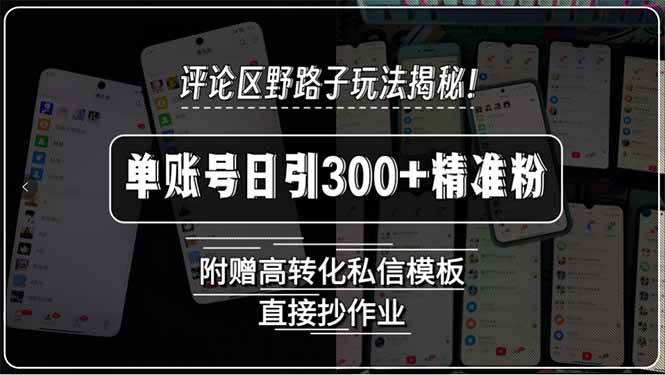 （15466期）评论区野路子玩法揭秘！单账号日引300+精准粉，附赠高转化私信模板，直…-轻合创