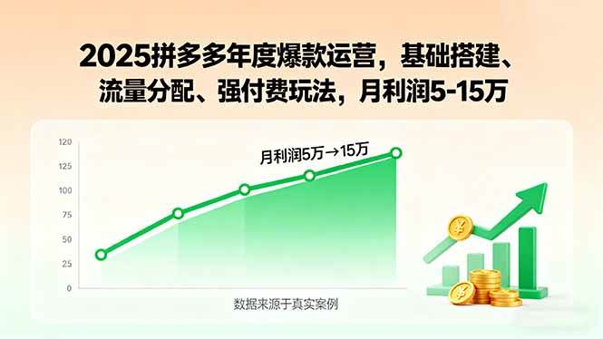 （15973期）2025拼多多年度爆款运营，基础搭建、流量分配、强付费玩法，月利润5-15万-轻合创