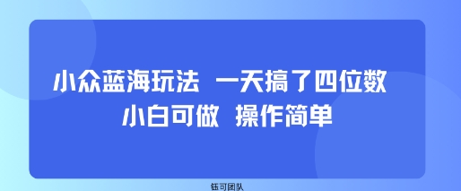 小众蓝海玩法 一天搞了四位数 小白可做 操作简单-轻合创