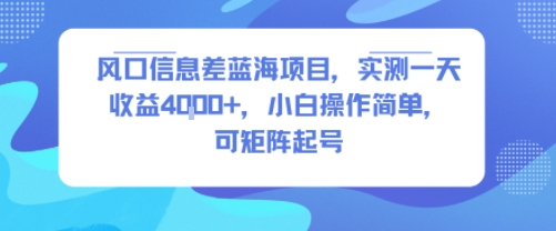 风口信息差蓝海项目，实测一天收益4k+，小白操作简单，可矩阵起号-轻合创