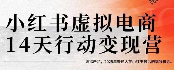 小红书虚拟电商14天变现训练营，虚拟产品，2025年普通人在小红书最后的搞钱机会-轻合创