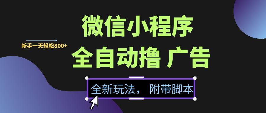 （15134期）微信小程序挂机撸广告，全新玩法，新手一天轻松800+【附带脚本】-轻合创