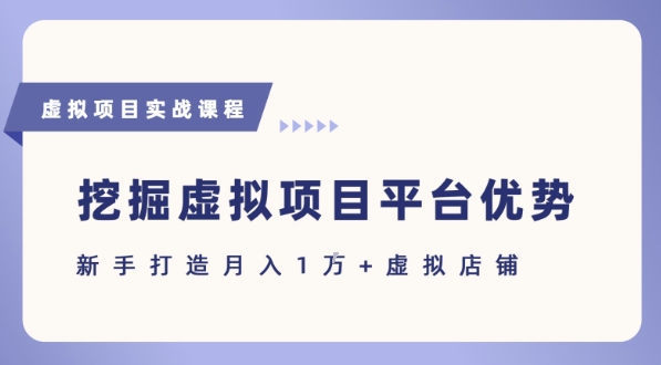 抓住虚拟项目各平台优势，新手轻松月入1W+(给出具体建议)-轻合创