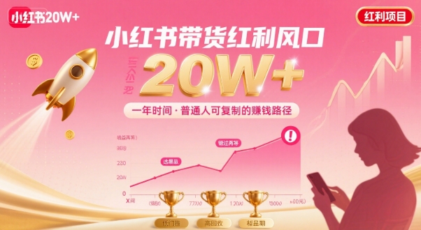 一年时间靠小红书带货项目年入20w+，最不能错的大红利项目-轻合创