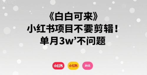 小白可来 小红书项目不需要剪辑 单月3w不是问题-轻合创