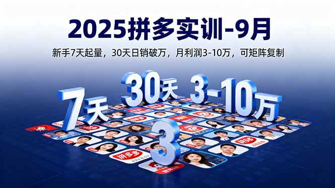 (16008期)2025拼多多实训-9月:新手7天起量,30天日销破万,月利润3-10万,可矩阵复制-轻合创