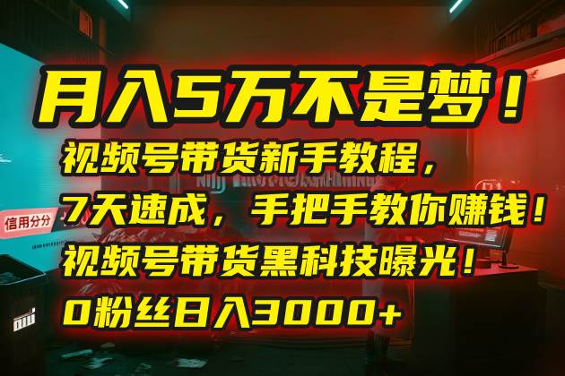 （15595期）月入5万不是梦！视频号带货新手教程，7天速成，手把手教你赚钱！视频号…-轻合创
