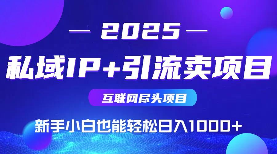 （15531期）2025网创尽头项目，私域IP+引流，新手小白也能在家日入1000+-轻合创