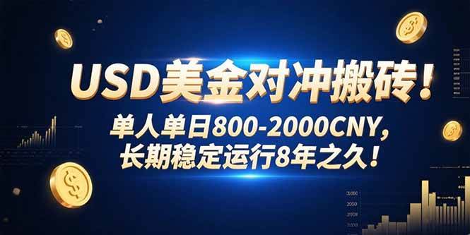 （15551期）USD美金对冲搬砖!单人单日800-2000CNY，长期稳定运行8年之久!-轻合创