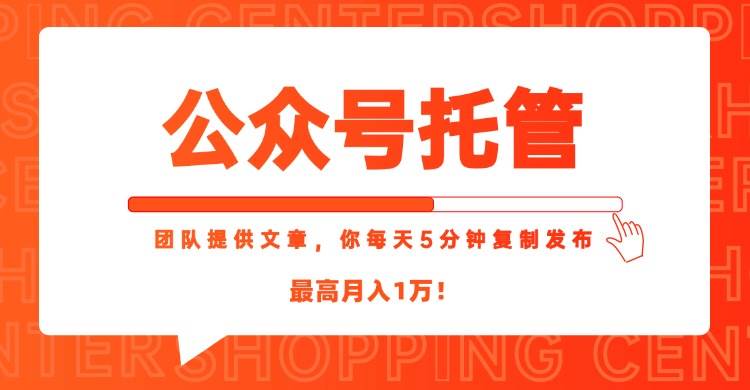 （15109期）【公众号托管 】我提供文章，你每天５分钟复制发布，最高月入1W-轻合创