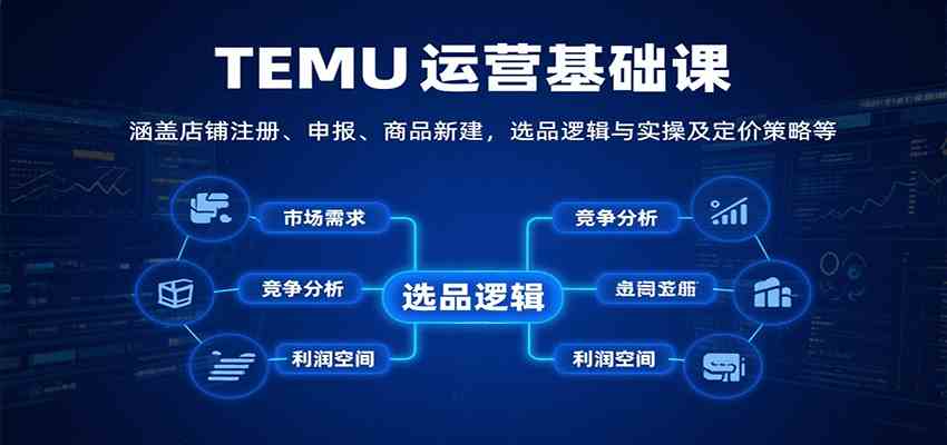 TEMU运营基础课：涵盖店铺注册、申报、商品新建，选品逻辑与实操及定价策略等-轻合创