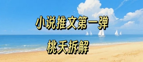 小说推文项目操作全流程第一弹，0粉就能做，门槛低非常适合新手-轻合创