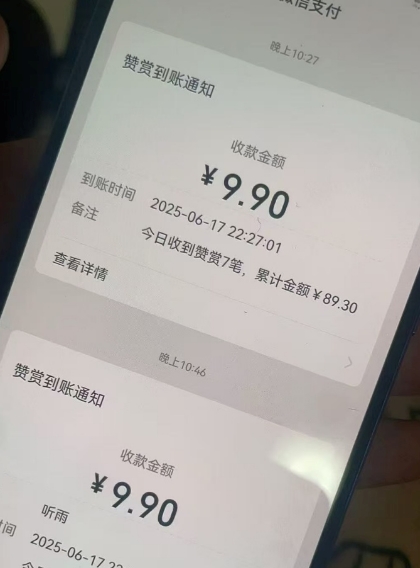 二次元男粉快速变现项目，私域卖虚拟产品，百分利润-轻合创