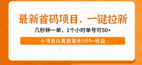 最新首码项目，操作最简单，收益高，一键拉新，1个小时单号可50+，小项目认真做每天5张+收益【揭秘】-轻合创