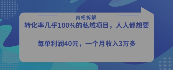 转化率最高的私域项目，每单利润40-50米，月入过1w-轻合创