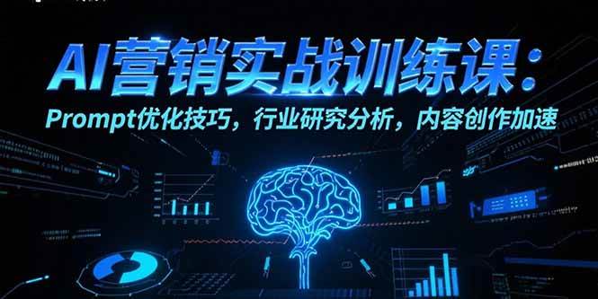 （15465期）AI营销实战训练课：Prompt优化技巧，行业研究分析，内容创作加速-轻合创