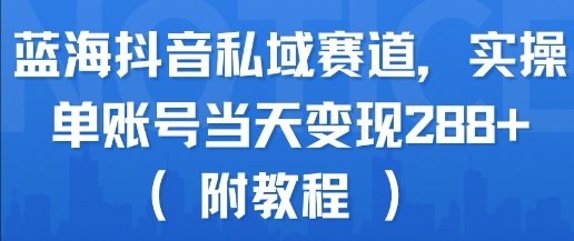蓝海抖音私域赛道，实操单账号当天变现288+(附教程)-轻合创