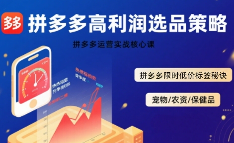 拼多多选品暴利技术实战课，拼多多高利润选品策略，拼多多限时低价标签秘诀-轻合创