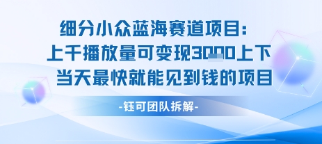 小众蓝海赛道项目：当天变现1k+适合新手操作 +适合长期玩-轻合创