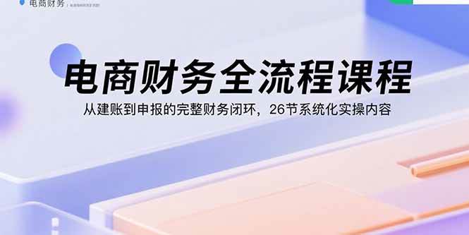 （15893期）电商财务全流程课程：从建账到申报的完整财务闭环，26节系统化实操内容-轻合创