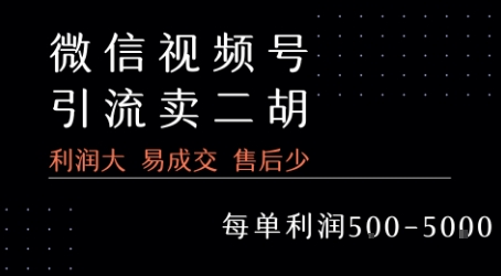 视频号卖二胡教程，利润大 易成交 售后少，一单利润5张+-轻合创