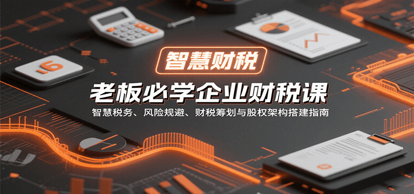 老板必学企业财税课：智慧税务、风险规避、财税筹划与股权架构搭建指南-轻合创