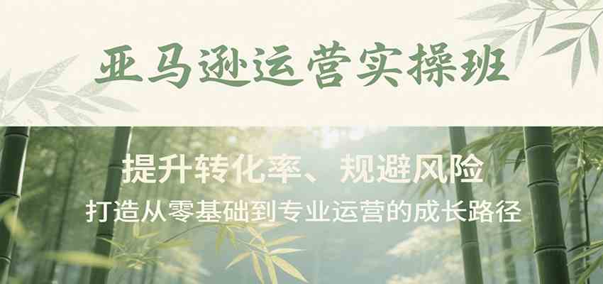 亚马逊运营实操班，提升转化率、规避风险，打造从零基础到专业运营的成长路径-轻合创