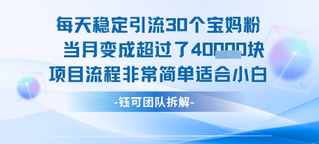 每天稳定引流30个人 当月变成超过了4个W项目流程非常简单适合小白-轻合创