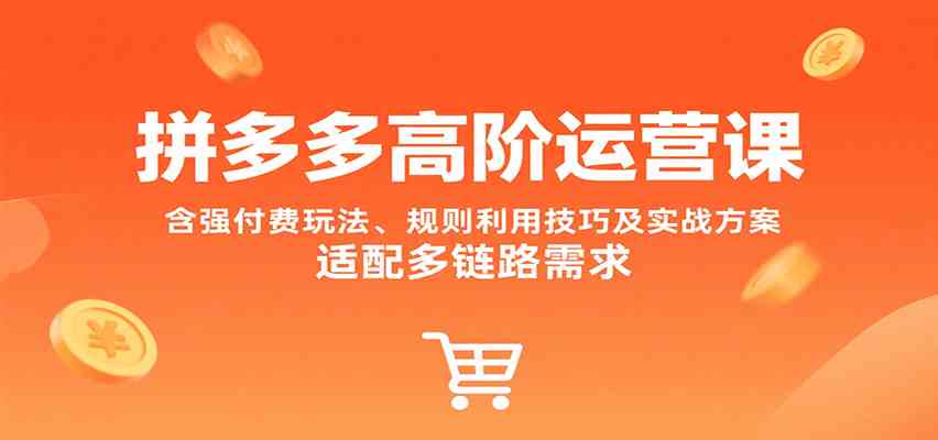 拼多多高阶运营课，含强付费玩法、规则利用技巧及实战方案，适配多链路需求-轻合创
