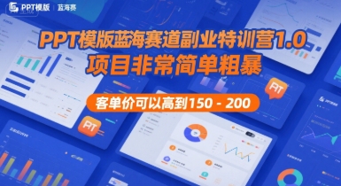 PPT模版蓝海赛道副业特训营1.0，项目非常简单粗暴，客单价可以高到150-200-轻合创
