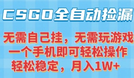 CSGO自动捡漏项目，最新独家玩法，一个手机可操作，新手小白轻松月入1W+，操作简单易上手【揭秘】-轻合创