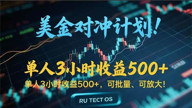 （15321期）长久稳定的撸美金项目，平均3小时收入 500+，可公司实地考察实地操作！-轻合创
