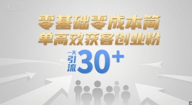 零基础零成本简单高效获客创业粉，一天引流30+-轻合创