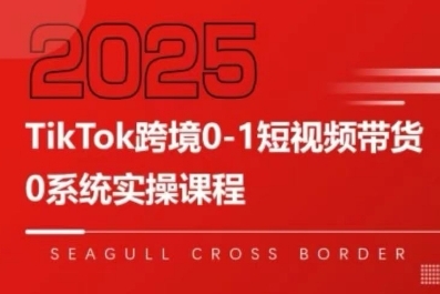 TikTok跨境0-1短视频带货，系统拆解TikTok跨境带货全链路，实现跨境可持续盈利-轻合创
