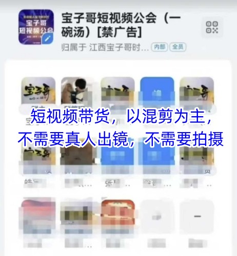 宝子哥头部团队短视频带货，以混剪为主，不需要真人出镜，不需要拍摄【更新8月】-轻合创