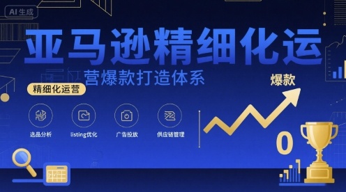 亚马逊精细化运营爆款打造体系，视频课+全套资料文档-轻合创