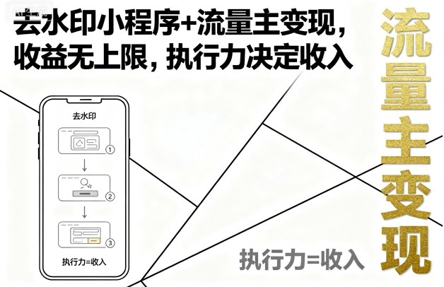去水印小程序+流量主变现，收益无上限，执行力决定收入-轻合创
