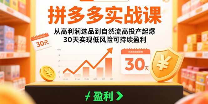 （15586期）拼多多实战课：从高利润选品到自然流高投产起爆 30天实现低风险可持续盈利-轻合创