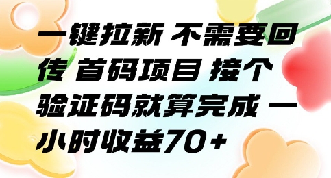 一键拉新 不需要回传 首码项目 接个验证码就算完成 一小时收益70+【揭秘】-轻合创
