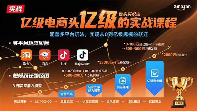 （15803期）亿级电商头部卖家的实战课程：涵盖多平台玩法，实现从0到亿级规模的跃迁-轻合创