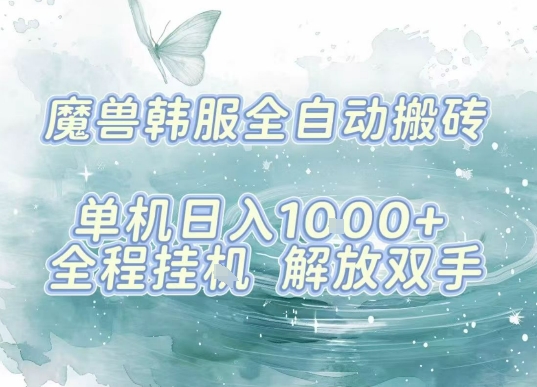 最新韩服游戏搬砖，单机日入1k+，全自动运行挂G项目，解放双手【揭秘】-轻合创
