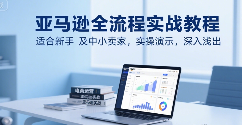 亚马逊全流程实战教程，适合新手及中小卖家，实操演示，深入浅出-轻合创