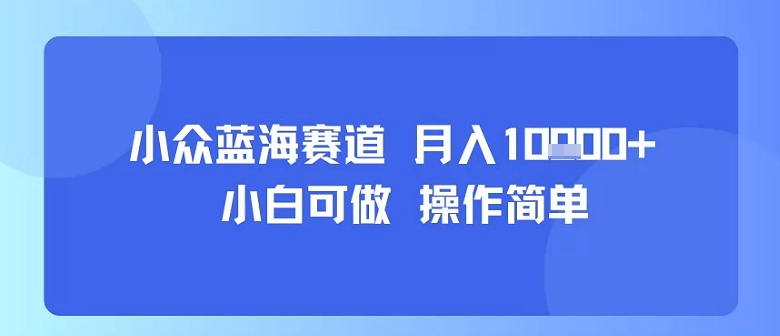 小众蓝海赛道，小白可做，操作简单，每天30分钟，月入1W+-轻合创