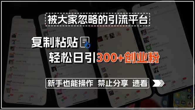 （15428期）被大家忽略的引流平台，复制粘贴轻松日引300+创业粉，新手也能操作，禁…-轻合创