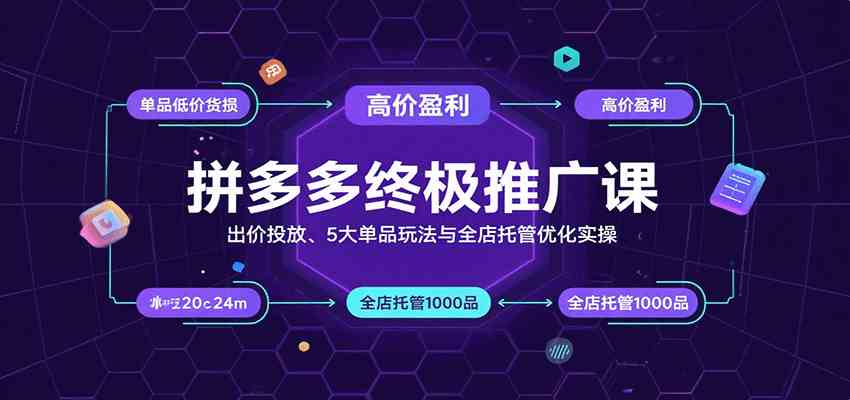 拼多多终极推广课：出价投放、5大单品玩法与全店托管优化实操-轻合创