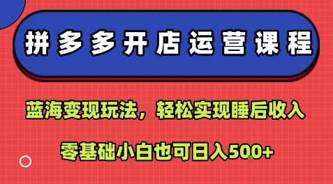 拼多多开店运营课程：蓝海变现玩法，轻松实现睡后收入，零基础小白也可日入5张-轻合创