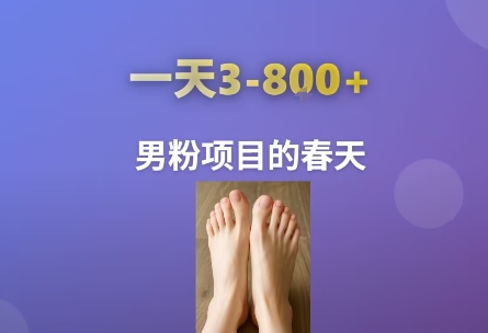 AI一键生成美女素材，一天收益3-8张，男粉项目的春天-轻合创