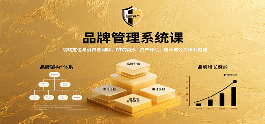 品牌管理系统课：战略定位与消费者洞察，DTC案例、资产评估，增长与公关体系搭建-轻合创